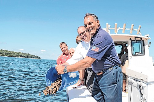 OB_oyster_013124 Town officials dump oysters
in the harbor.
(Photo courtesy the Town of Oyster Bay)