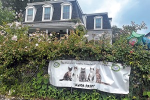 Rescuing Cats, Helping People