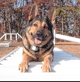 K9 Kai