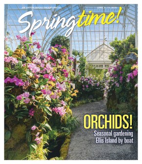 Special section cover