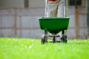 Remember Nassau County’s Lawn Fertilizer Law