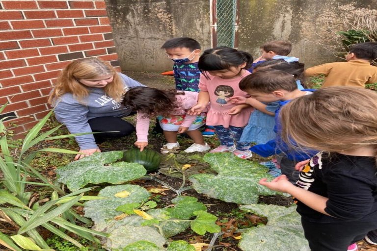 Jericho STEM Academy students take a close look at pumpkins and gourds grown at the school. 
(Photo courtesy the Jericho STEM Academy)