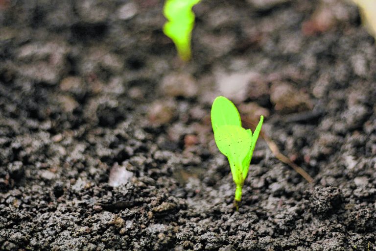 OB_mainst_032724 (Image via Unsplash)