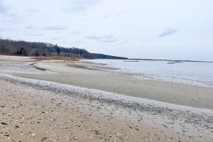 Town Of Oyster Bay Receives Green Innovation Grant