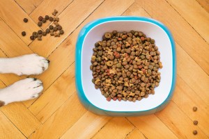 Town Launches Pet Food & Supply Drive In Partnership With LI Cares