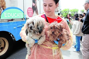 More Than 50 Animals Rescued From Commercial Breeding