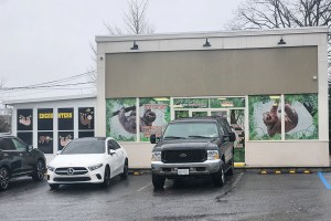 Sloth Saga Enters New Phase