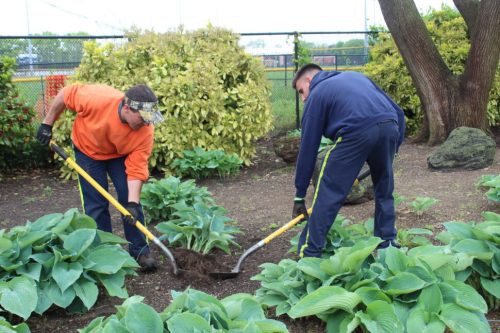 In Garden City, Tom Armato and Jake Babsin have been putting their green thumbs to work bringing out blossoms each year.
(Credit: Village of Garden City)