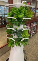 Levittown Public Library Builds Hydroponic Garden