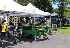 Syosset/Jericho Calendar, Week of July 3