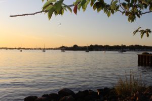 Port Washington News Calendar For June 19-June 28