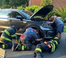 Fire Report 6/26-7/2