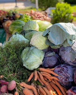 Deep Roots Farmers Market – 1 of 1 (2) Fresh produce at the farmers market (Photo from Deep Roots Market)