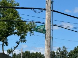 Elmont Man Dead After Saturday Crash In Garden City