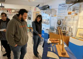 Whaling Museum To Host Beyond The Book Club
