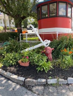 Town Dock plantings (Photos from the Port Washington Garden Club)