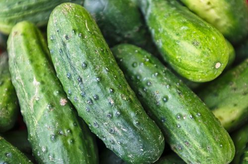 Cucumbers (Eric Prouzet/Unsplash)