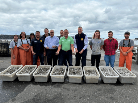 Town of Oyster Bay government joined the Town Environmental team to seed the remainder of 6 million oyster and clam seedlings deposited into Oyster Bay Harbor throughout 2024. (Photo credit Lauren Feldman)
