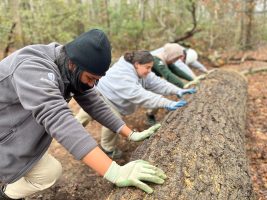 Discover The Excitement At Planting Fields