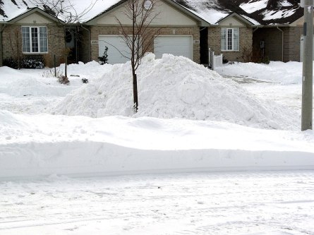 (Photo credit Andrea_44 via WikimediaCommons, CC BY 2.0)