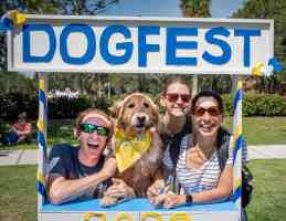 DogFest 2024 returning to Massapequa