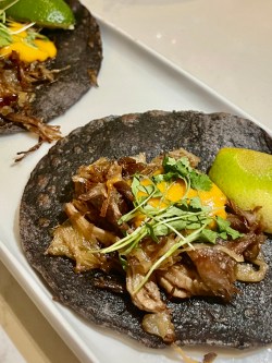 Duck tacos (Christy Hinko)