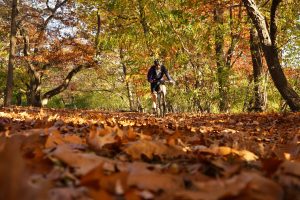 Fitness tips for staying active as temps drop
