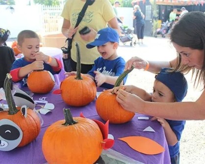 hicks festival Hicks Fall Festival (Photo from Hicks Nursery)