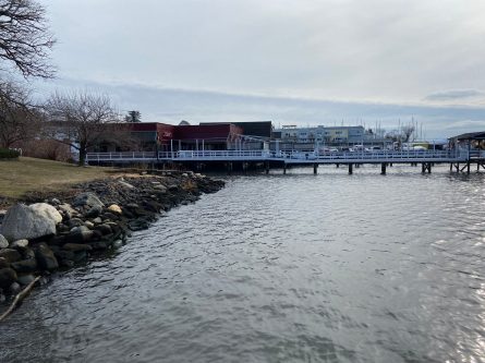 Louie's Prime Steak & Seafood (Photos by Cathy Bongiorno)