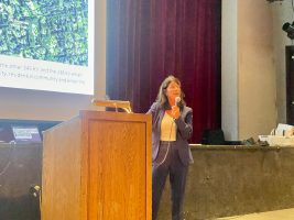 North Shore residents raise concerns over battery storage and transmission line projects